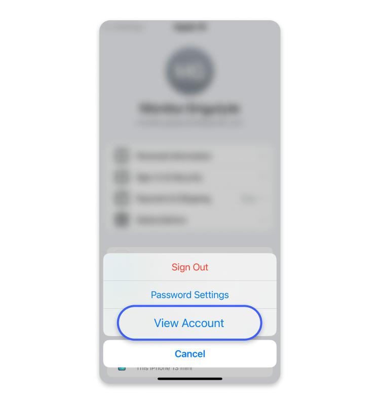 tap View Account | how to change app store location
