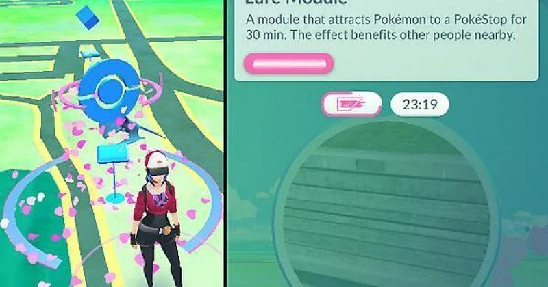Lure Modules | shiny numel