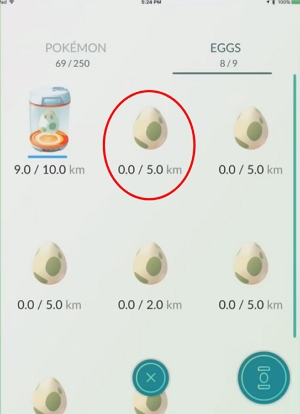 將雞蛋放入孵化器 2 |如何獲得 Pokemon Go 孵化器