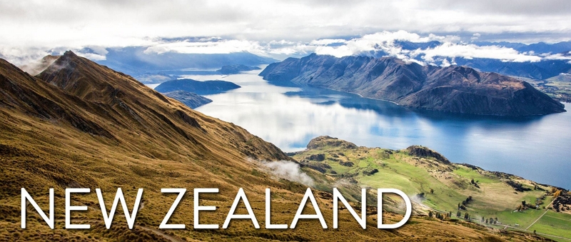 New Zealand 1 | relicanth pokemon go