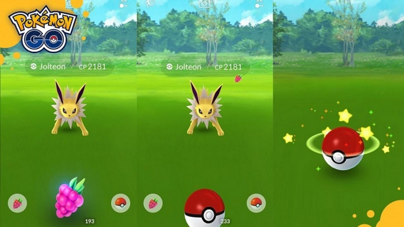 Capture pokemon | xl candy