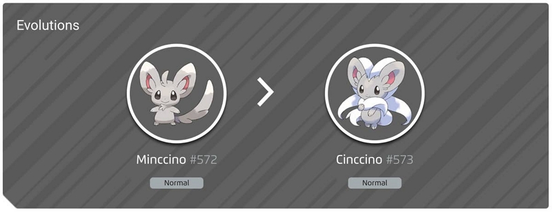 Minccino | unova stone pokemon go
