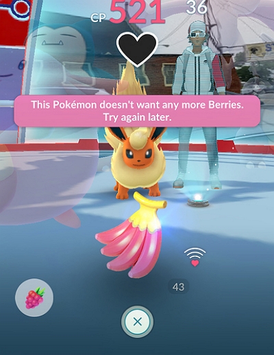 provide berries | startdust pokemon go