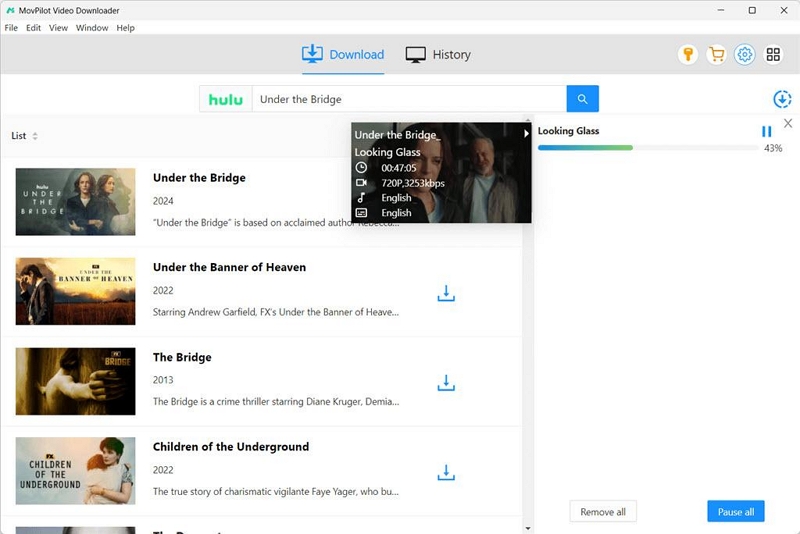 Hulu-Videos mit MovPilot herunterladen | Episoden auswählen und speichern
