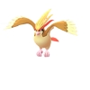 Pidgeot | pokemon go type chart