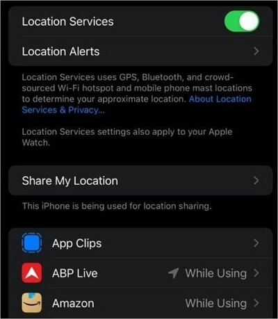 Location Services | Share My Location is Greyed Out