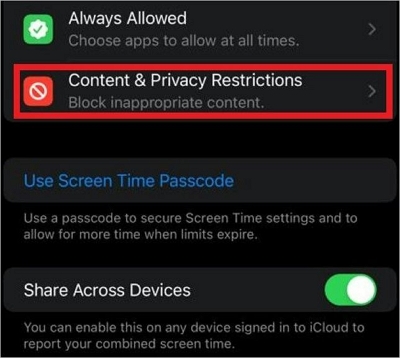 Content Privacy and Restrictions | Share My Location is Greyed Out