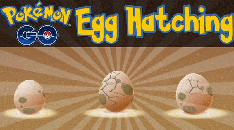 Hatch eggs | hatch eggs