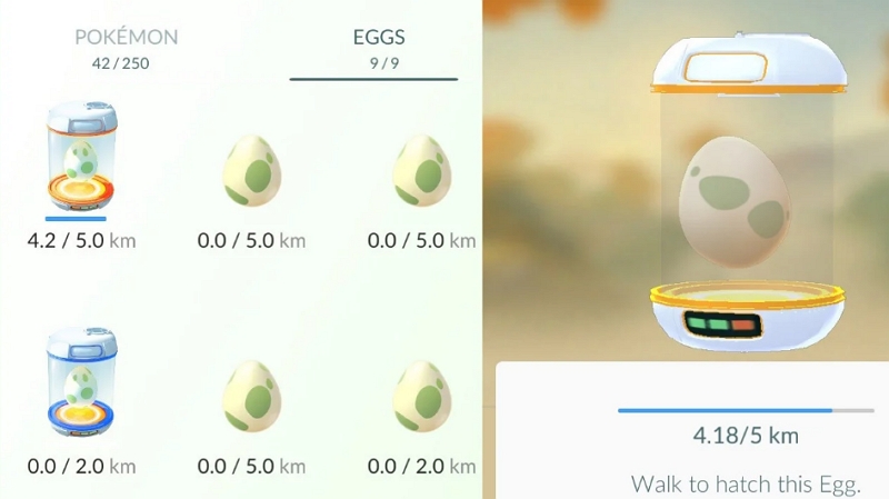 Hatching Eggs | xl candy