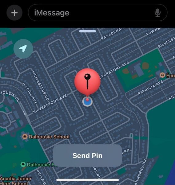 choose Send Pin | Drop Pin Location iPhone