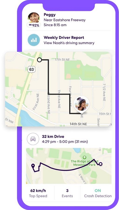 check circle member history | does life360 tell you when someone checks location