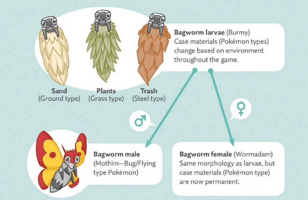 Evolution Path and Type Change | pokemon go type chart