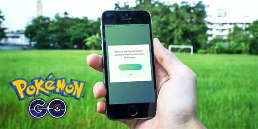 pokemon go support | Pokemon Go can't catch anything