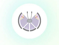 elegant pattern | pokemon go vivillon map