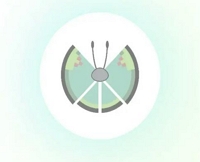 Garden Pattern | pokemon go vivillon map