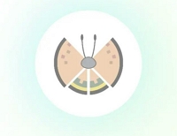 high plains pattern | pokemon go vivillon map