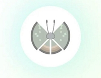 Dschungelmuster | Pokemon Go Vivillon Karte