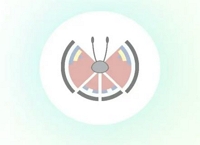 modern pattern | pokemon go vivillon map