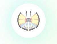 ocean pattern | pokemon go vivillon map