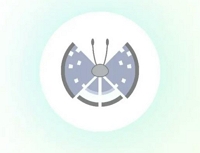 Richtcharakteristik | Pokemon Go Vivillon-Karte