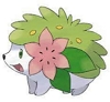 shaymin | mythical pokemon