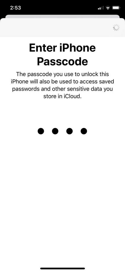 輸入您的 iPhone 密碼 | iPhone 上的共享位置不起作用