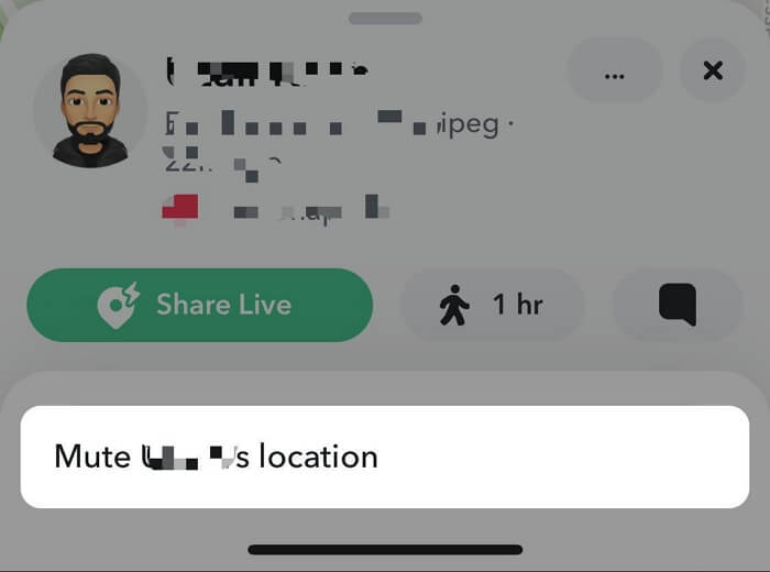 choose Mute location | Stop Seeing Someone Location